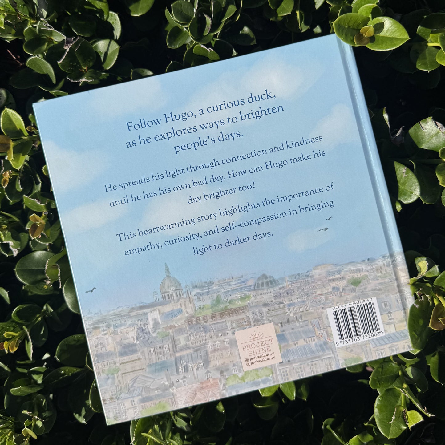 Making Brighter Days children's book